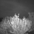 Webcam_20210618-214500