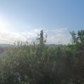 Webcam_20210619-060000