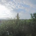 Webcam_20210619-063000