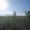 Webcam_20210619-071500