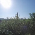 Webcam_20210619-074500