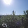Webcam_20210619-081500