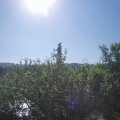 Webcam_20210619-083000