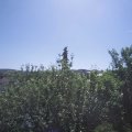 Webcam_20210619-100000