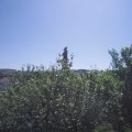 Webcam_20210619-103000