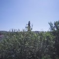 Webcam_20210619-104500