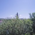 Webcam_20210619-110000