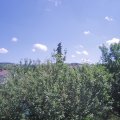 Webcam_20210619-121500