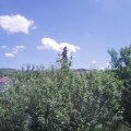 Webcam_20210619-124500