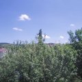 Webcam_20210619-130000