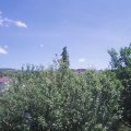 Webcam_20210619-131500