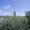 Webcam_20210619-134500