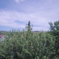Webcam_20210619-143000