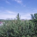 Webcam_20210619-151500