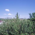 Webcam_20210619-161500