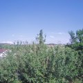 Webcam_20210619-163000