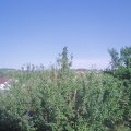 Webcam_20210619-170000
