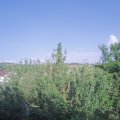 Webcam_20210619-173000