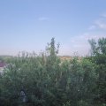 Webcam_20210619-194500