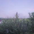 Webcam_20210619-203000