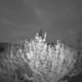 Webcam_20210619-213000