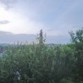 Webcam_20210620-050000