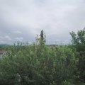 Webcam_20210620-124500