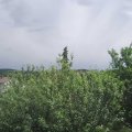 Webcam_20210620-131500