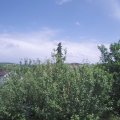 Webcam_20210620-141500