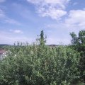 Webcam_20210620-143000