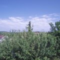 Webcam_20210620-153000