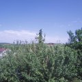Webcam_20210620-154500