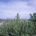 Webcam_20210620-161500