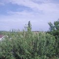 Webcam_20210620-163000