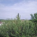 Webcam_20210620-164500