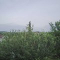 Webcam_20210620-173000