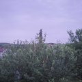 Webcam_20210620-201500