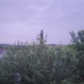 Webcam_20210620-203000