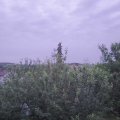 Webcam_20210620-204500
