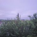 Webcam_20210621-053000