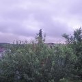 Webcam_20210621-060000