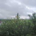 Webcam_20210621-074500