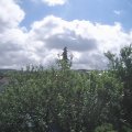 Webcam_20210621-100000