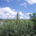 Webcam_20210621-134500