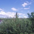 Webcam_20210621-151500
