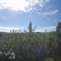 Webcam_20210622-081500