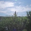 Webcam_20210622-093000
