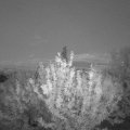 Webcam_20210622-213000