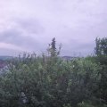 Webcam_20210624-050000