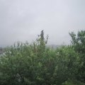 Webcam_20210624-113000